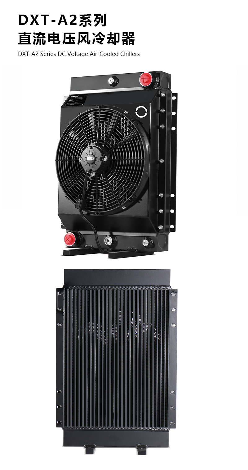 1770109903717584.jpg DXTpsd.jpg